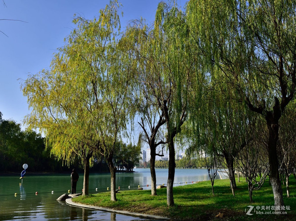 合肥市天鹅湖商务核心区美景