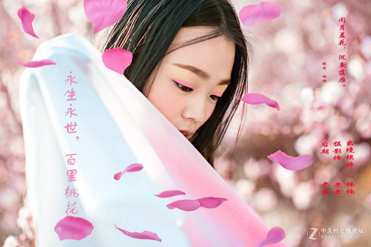 永生永世，百里桃花。