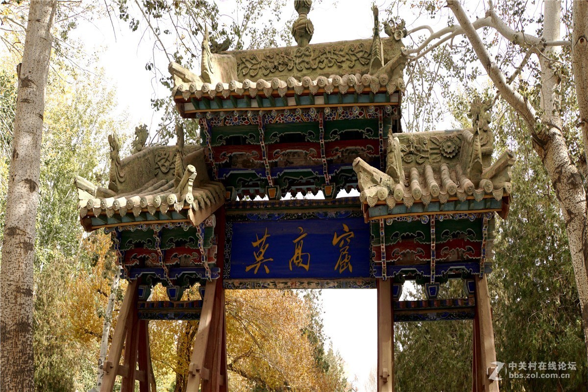 西行随拍17