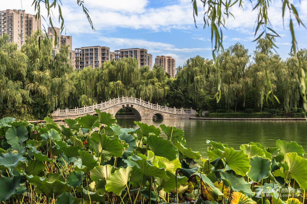 夏末公园的死角正式版图片