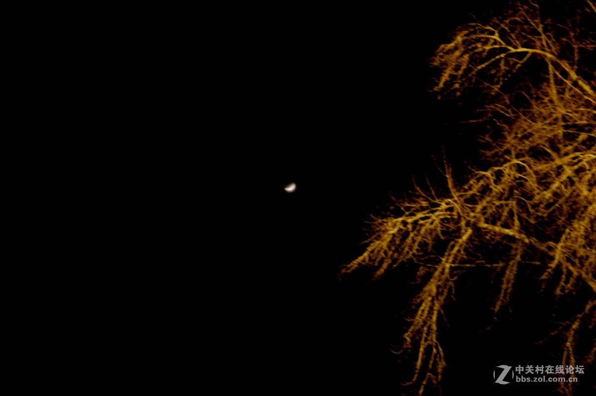 #我的2015摄影总结#我的大学