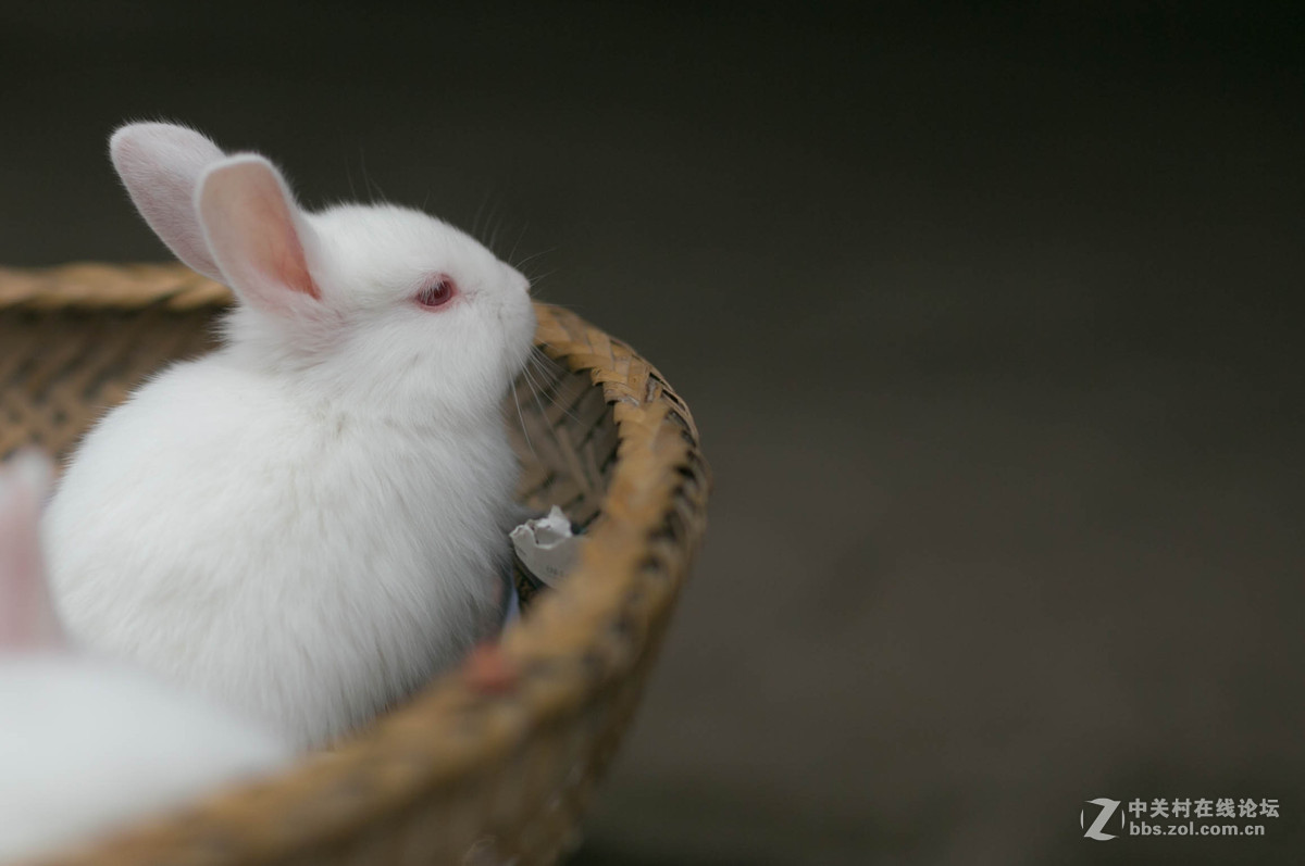 再来几张周末杂片