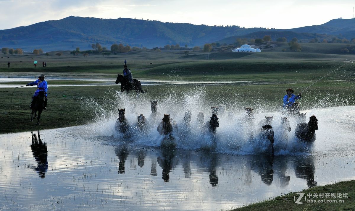 2016坝上行之三，群马跑水（上）。