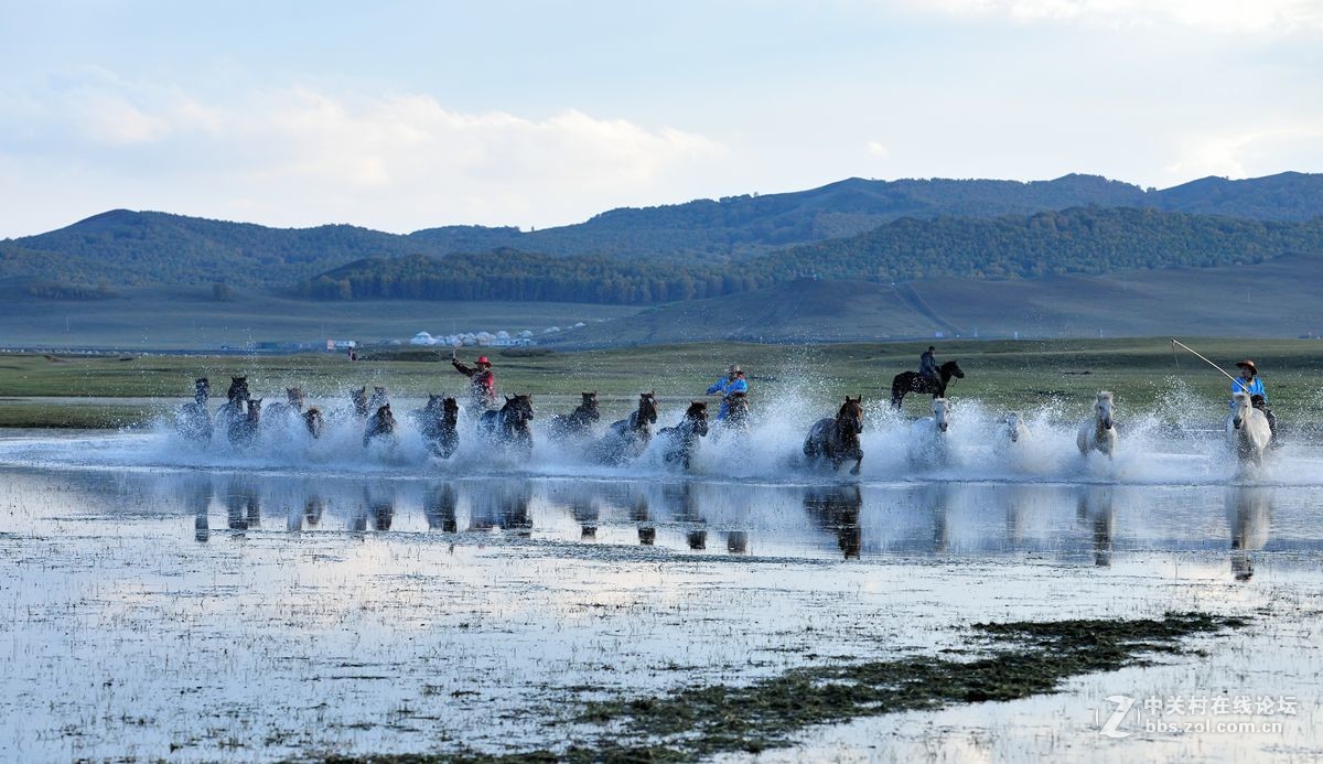2016坝上行之三，群马跑水（上）。