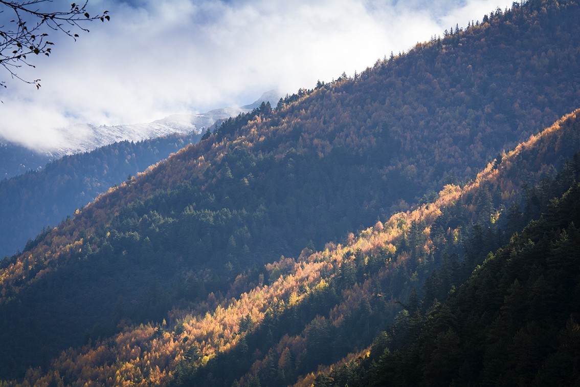 巴郎山雪山彩林