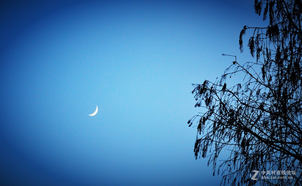 #我的2015摄影总结#我的大学