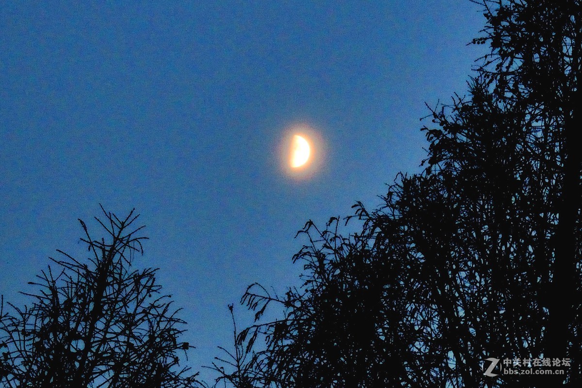 #我的2015摄影总结#我的大学