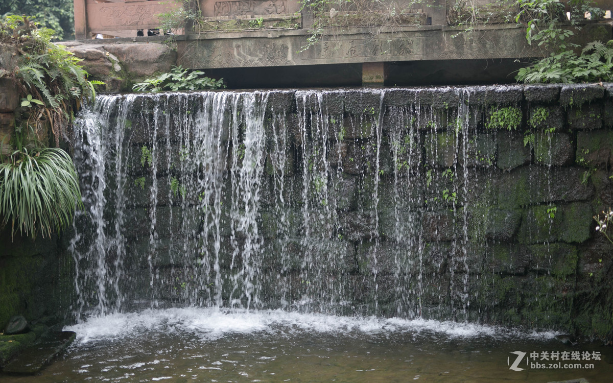 再来几张周末杂片