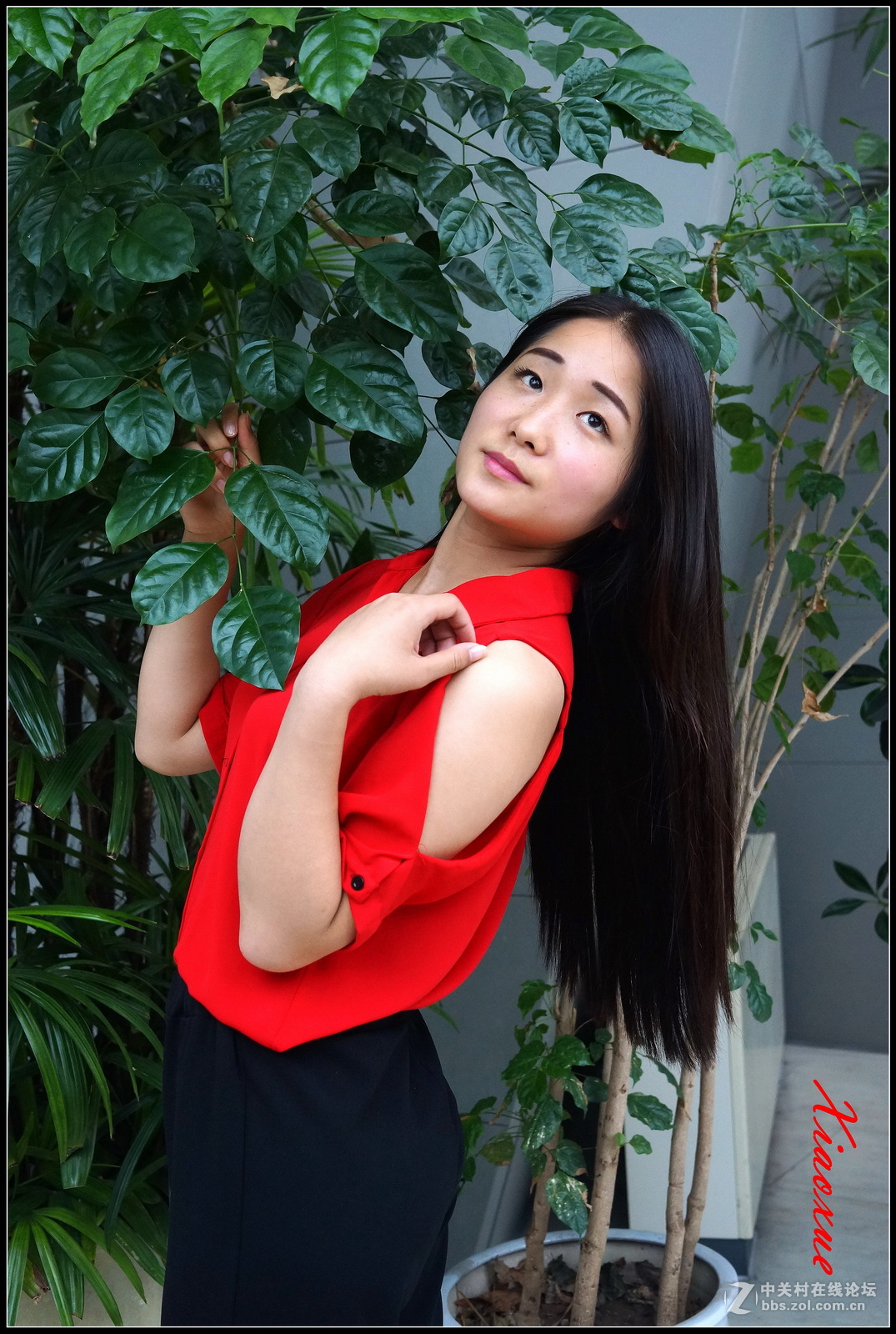 校园里的红衣少女