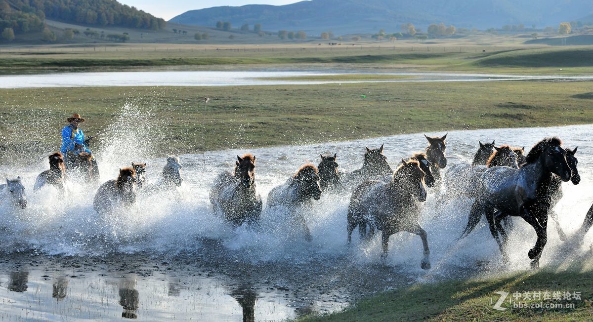 2016坝上行之三，群马跑水（上）。