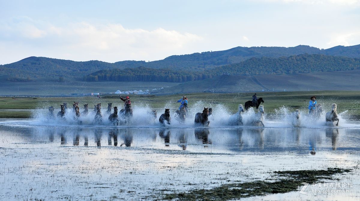 2016坝上行之三，群马跑水（上）。