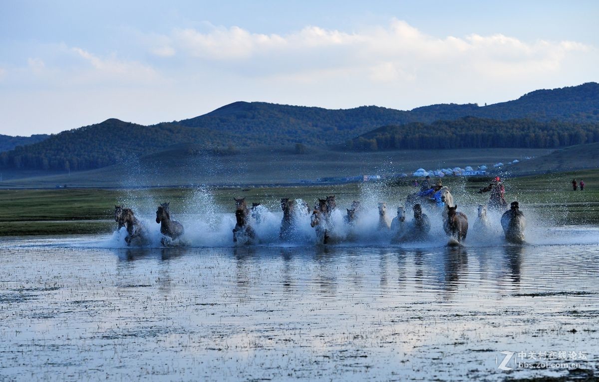 2016坝上行之三，群马跑水（上）。