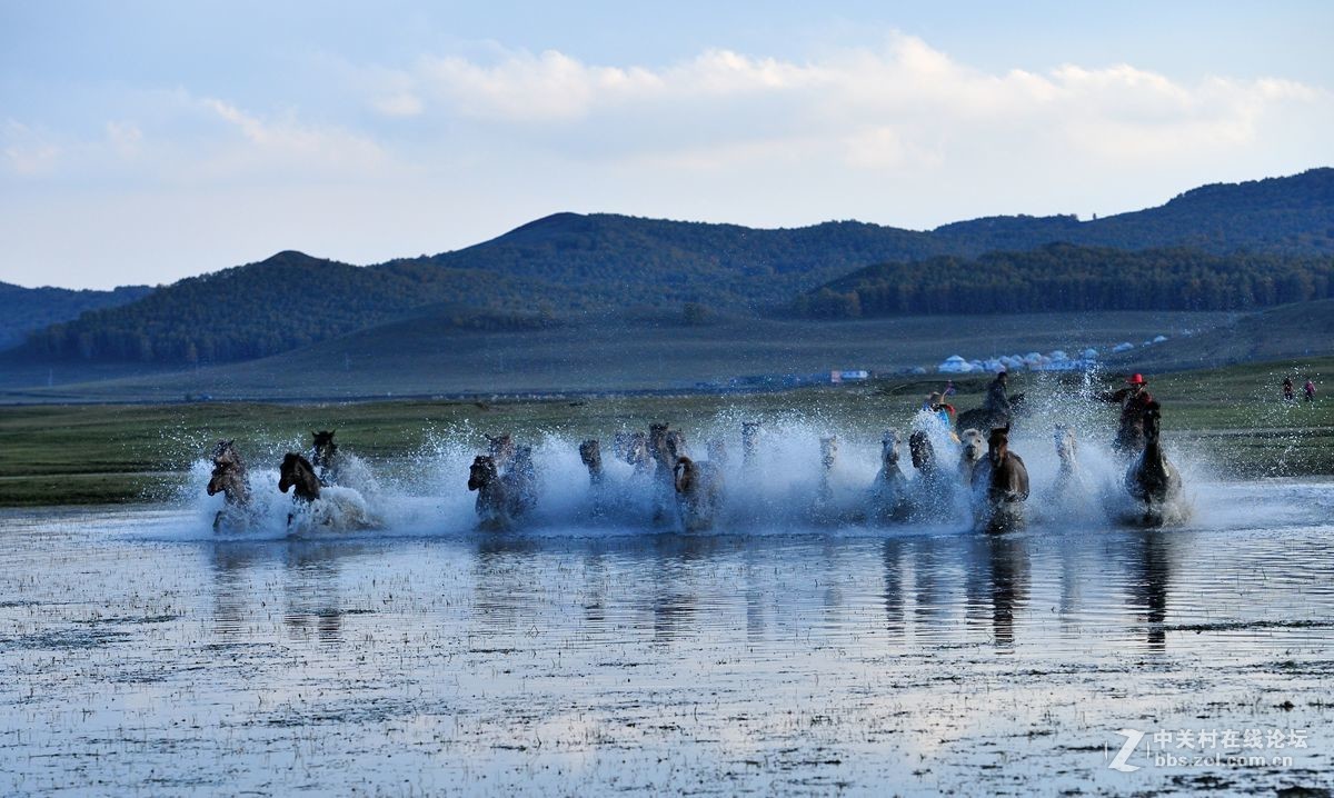 2016坝上行之三，群马跑水（上）。