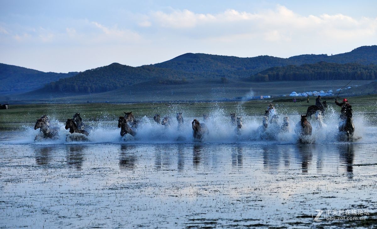 2016坝上行之三，群马跑水（上）。