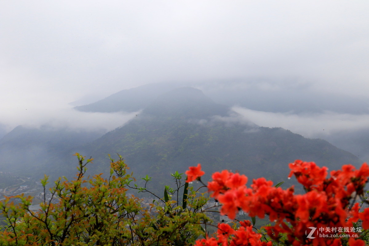 烟雨三月雁荡山脉