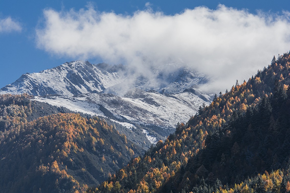 巴郎山雪山彩林