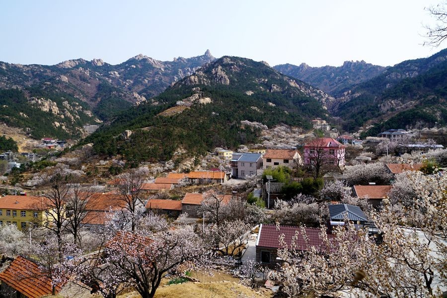 初春解家河村