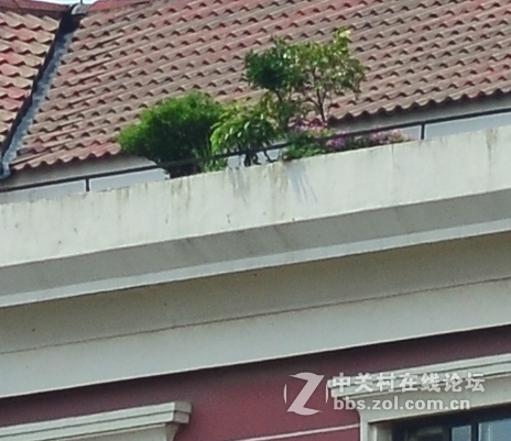 尼康16-85与腾龙70-300比较