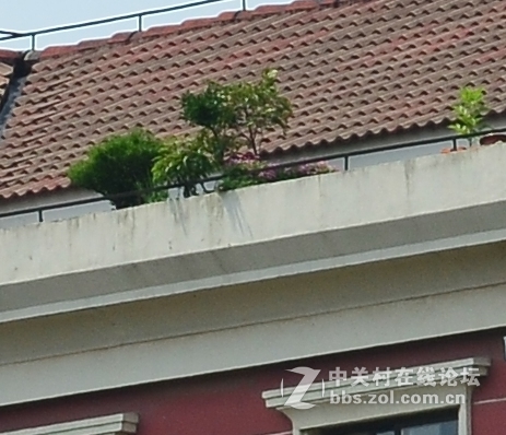 尼康16-85与腾龙70-300比较