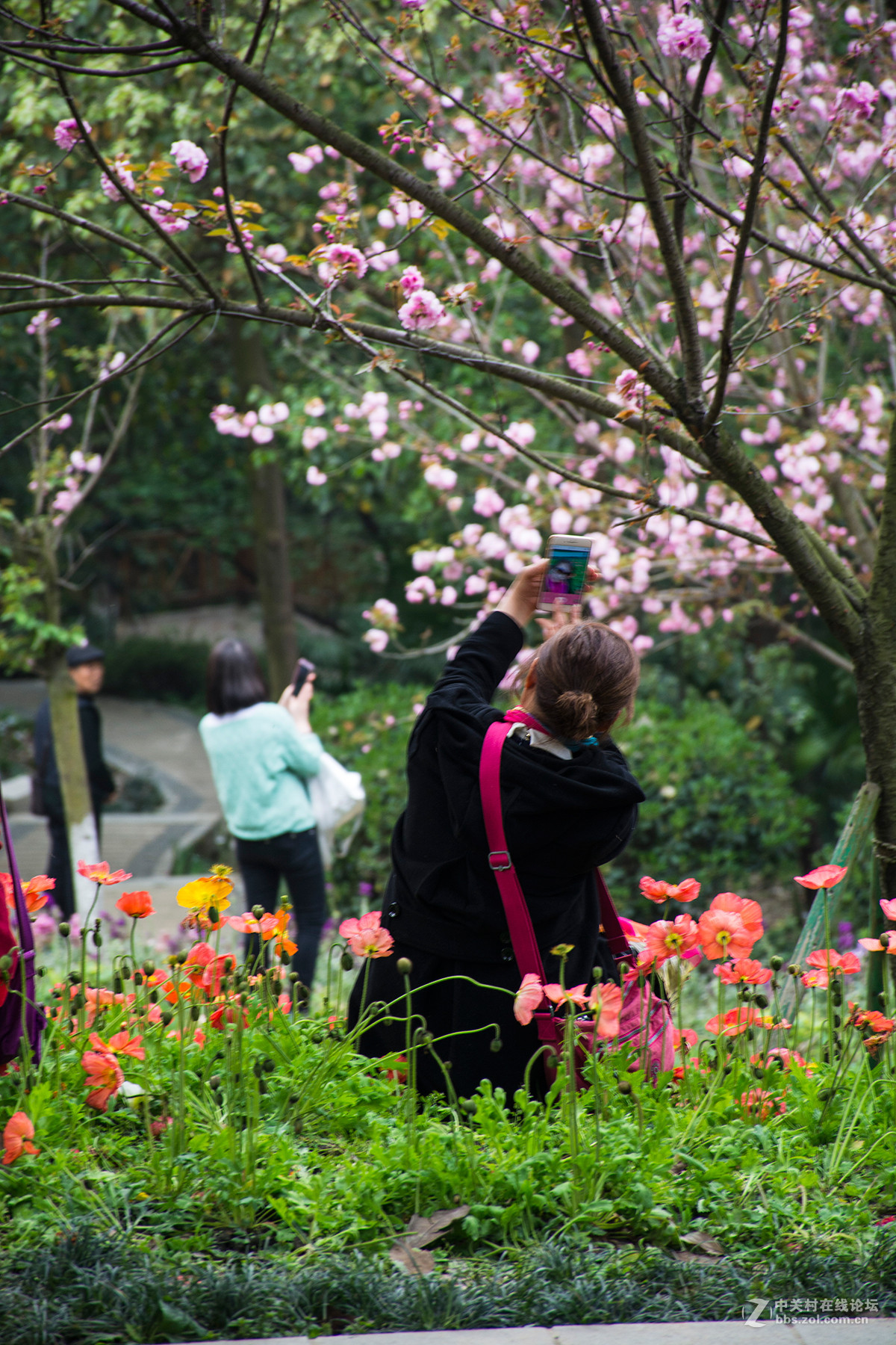 花中有人更美人在花中更靓公园抓拍