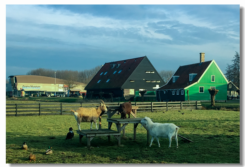 客居欧洲（二）