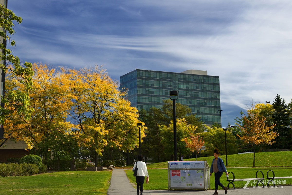 多伦多论坛，多伦多多咨处