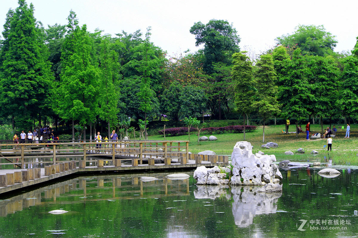 成都雙流中心公園隨拍之四