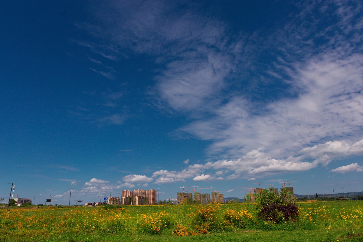 天气很好，随拍几张