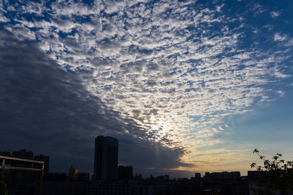 天气很好，随拍几张