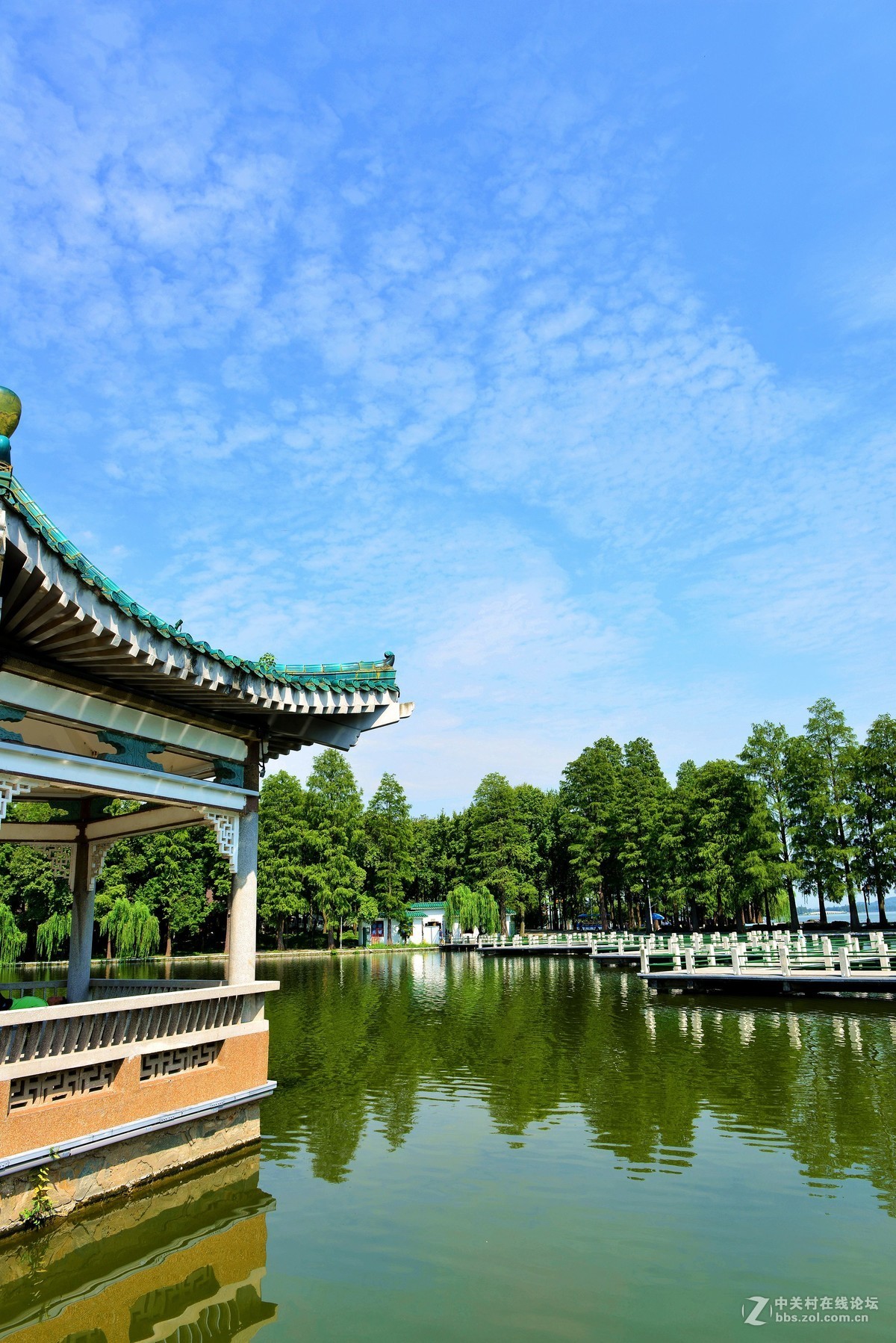 武汉东湖风景区观鱼台风光-中关村在线摄影论坛