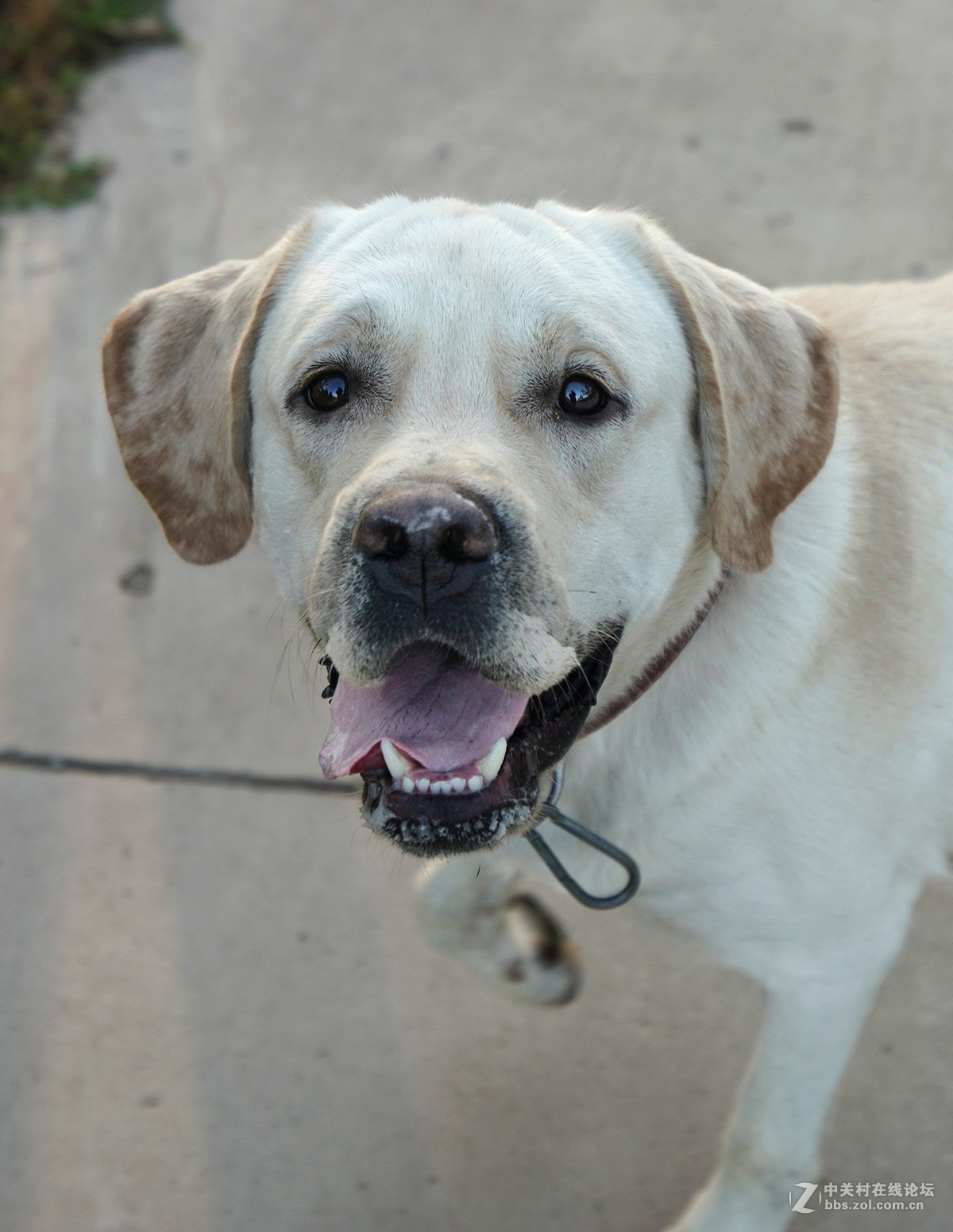 索尼A7RIII随拍，祝星空(中国)越来越旺，祝大家中秋快乐！