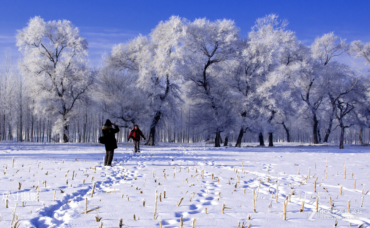 吉林霧凇島雪景風光續