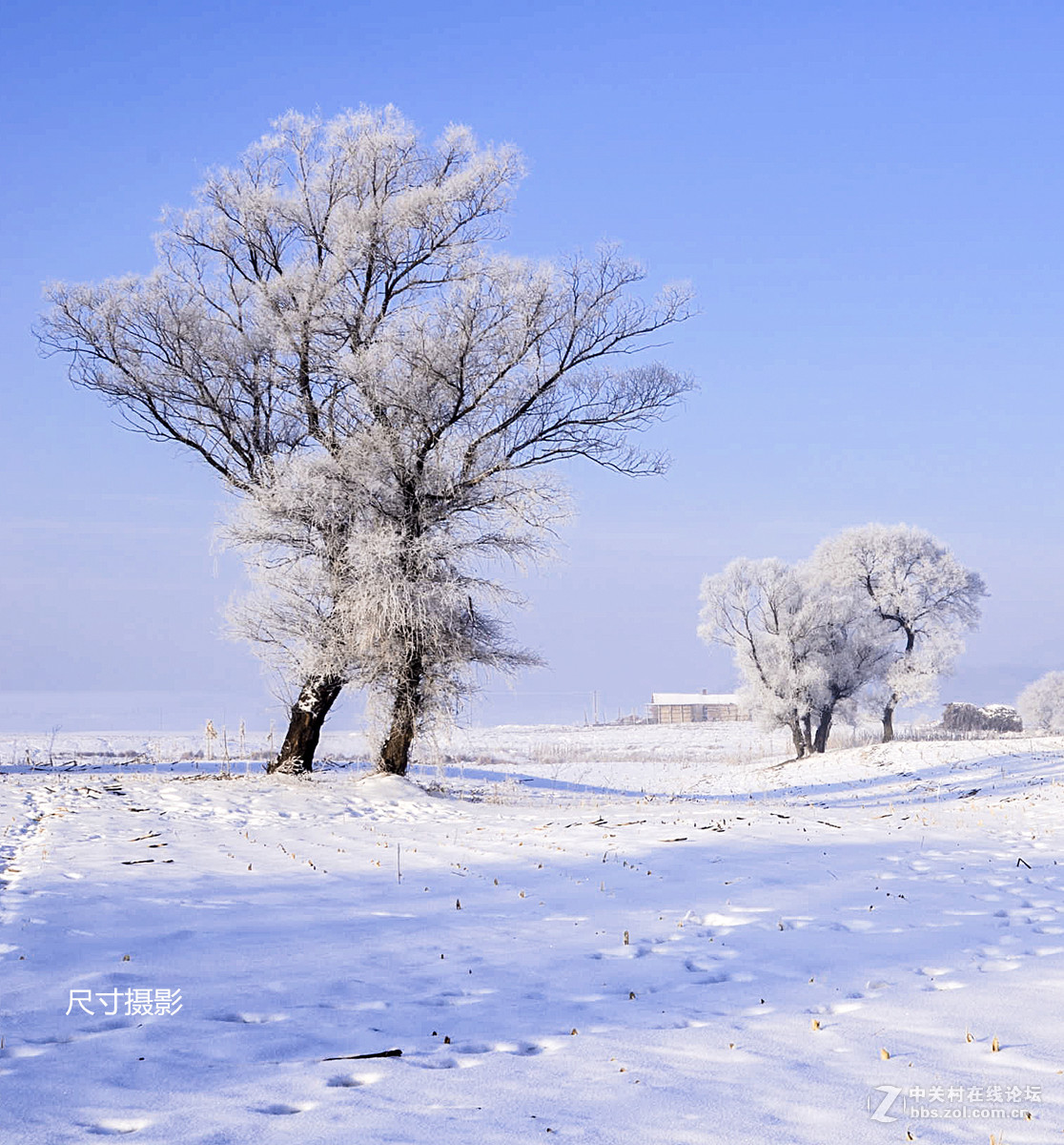 吉林霧凇島雪景風光續