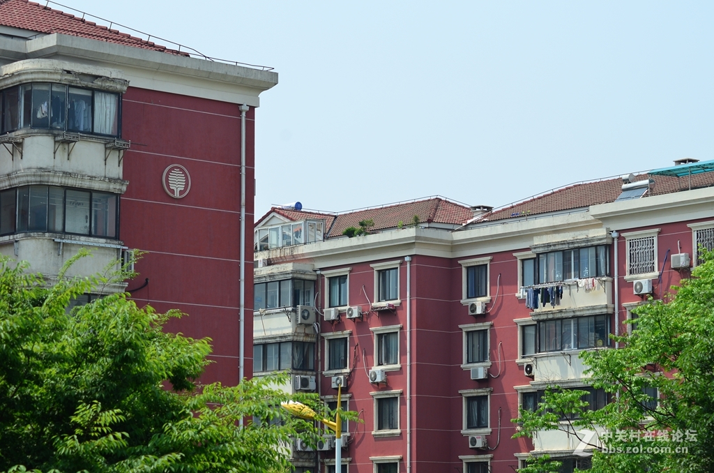 尼康16-85与腾龙70-300比较