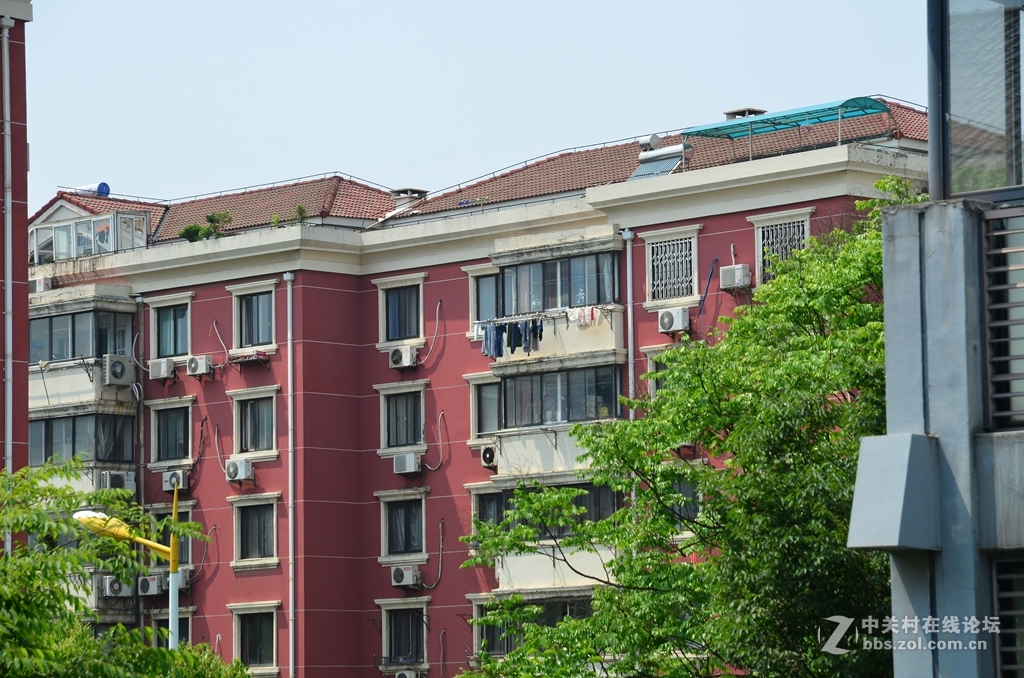 尼康16-85与腾龙70-300比较