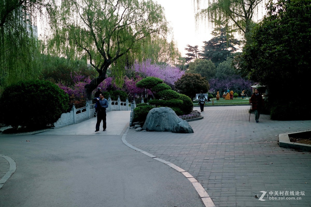 公园小景
