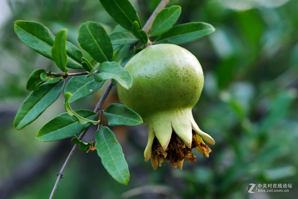 新买的GX85,新机试拍片