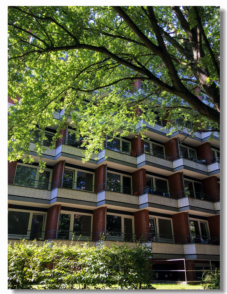 客居欧洲（二）