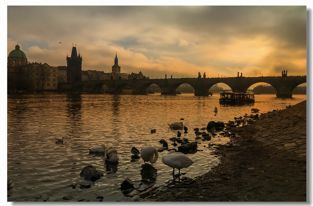 客居欧洲（二）