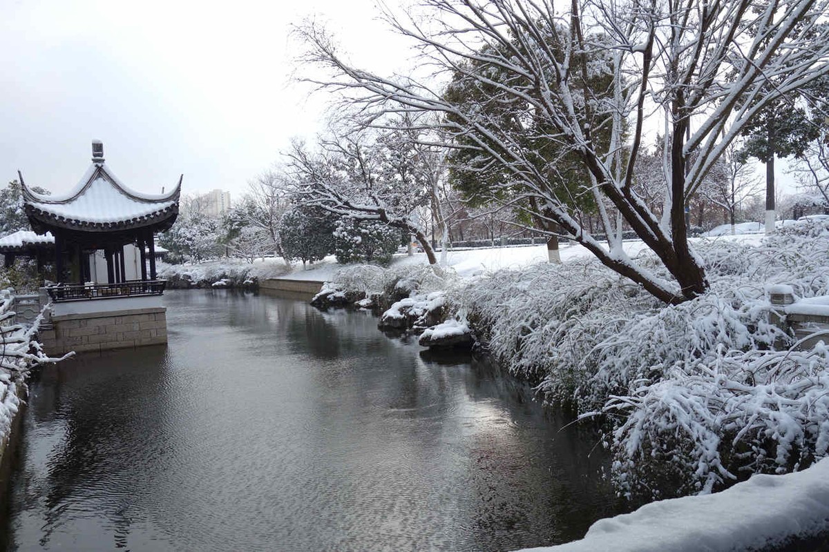 无锡最美景观路吴都路雪景