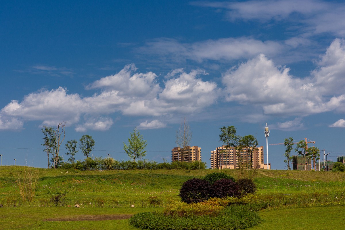 天气很好，随拍几张