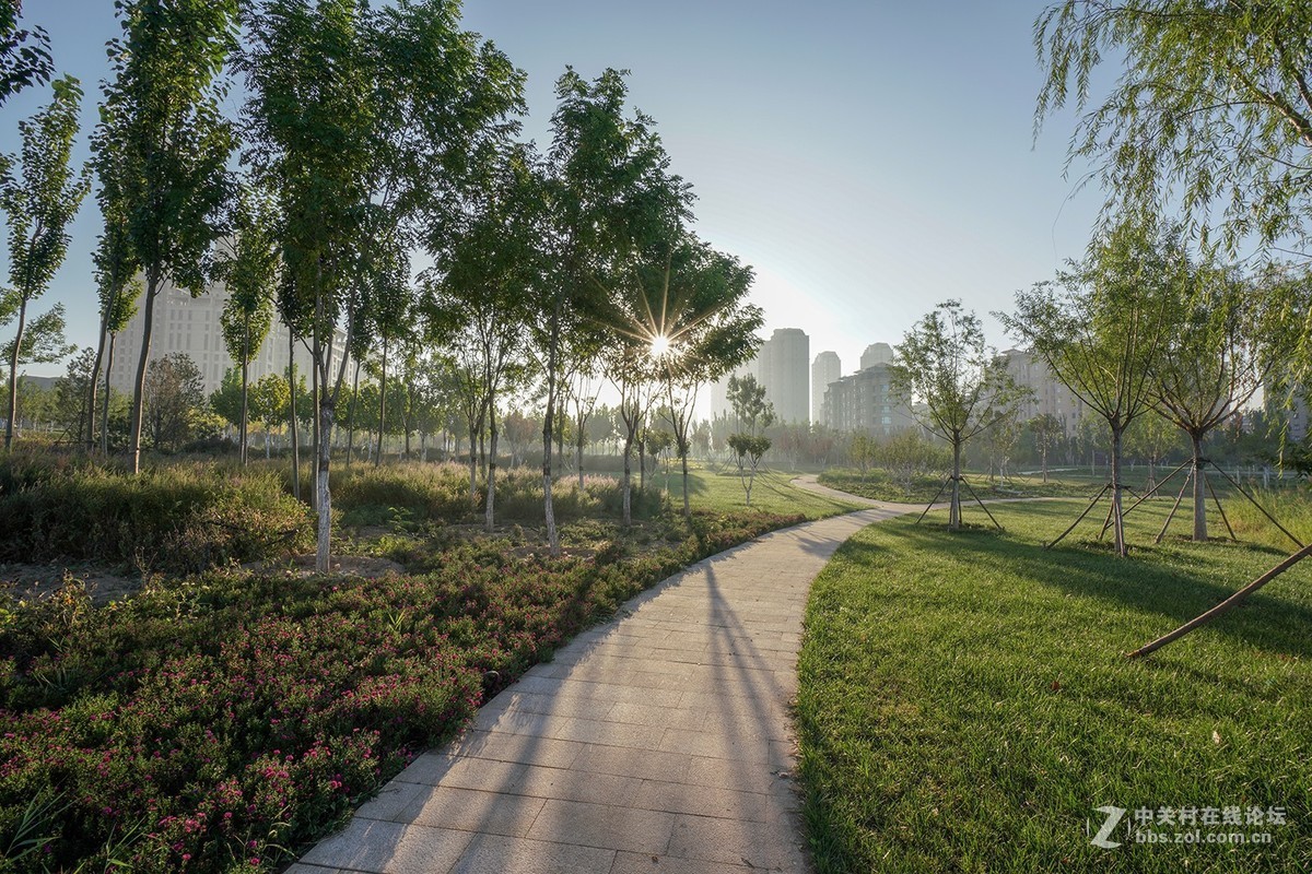 索尼A7RIII随拍，祝星空(中国)越来越旺，祝大家中秋快乐！