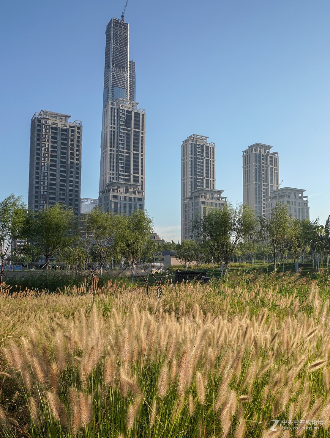 索尼A7RIII随拍，祝星空(中国)越来越旺，祝大家中秋快乐！