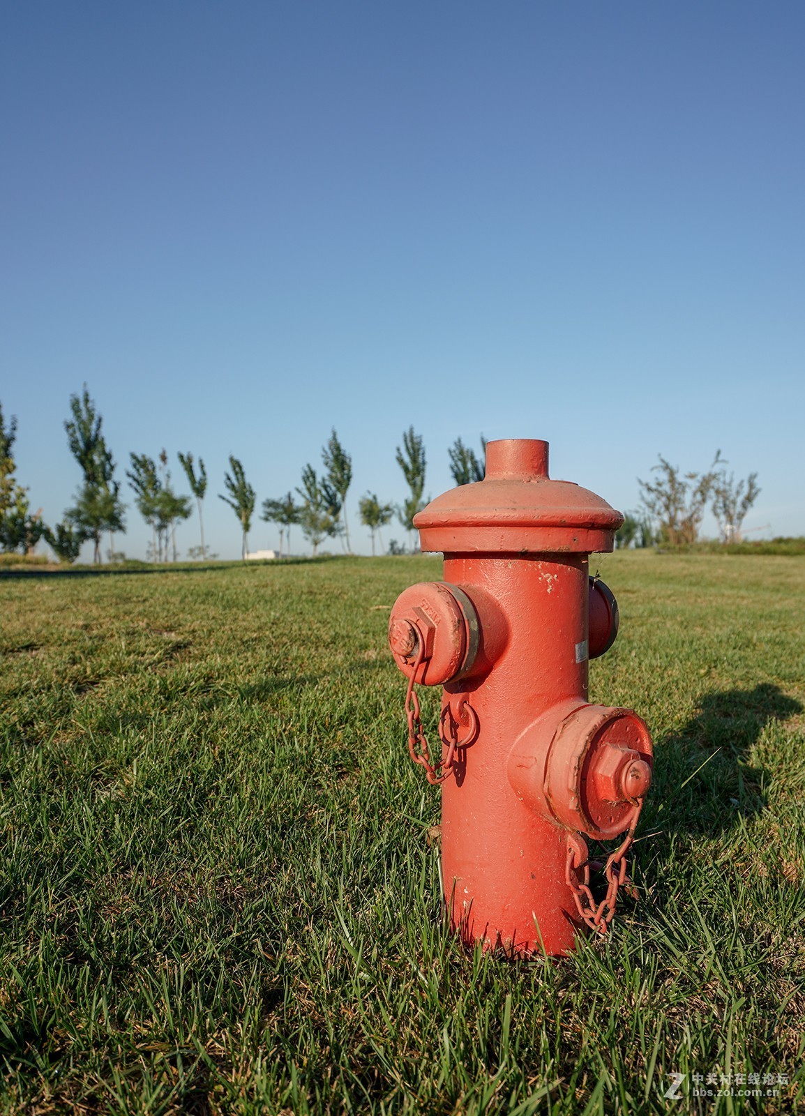 索尼A7RIII随拍，祝星空(中国)越来越旺，祝大家中秋快乐！