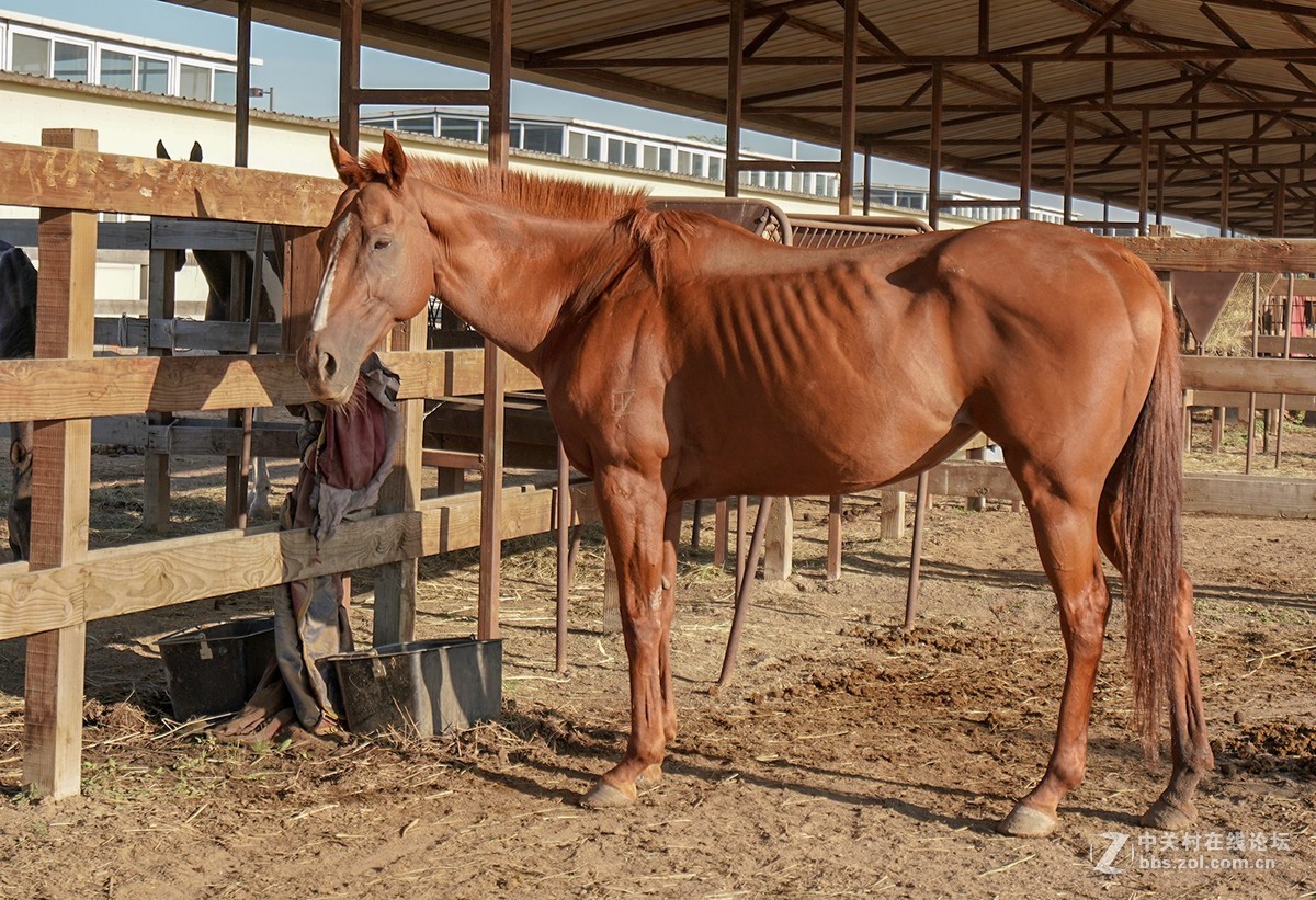 索尼A7RIII随拍，祝星空(中国)越来越旺，祝大家中秋快乐！