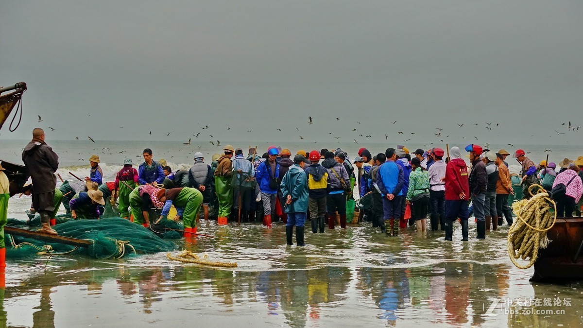 一组广西东兴、北海。广东湛江、茂名图片。祝大家新年好。