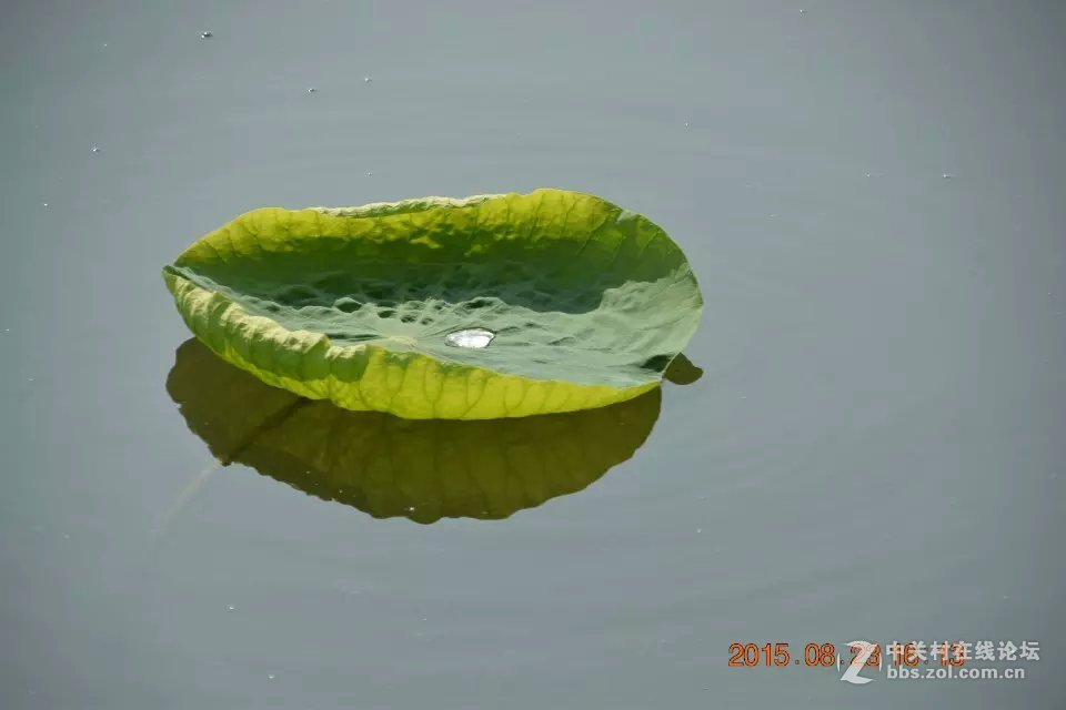 初试18-200，感觉背景虚化不会玩，请大神斧正