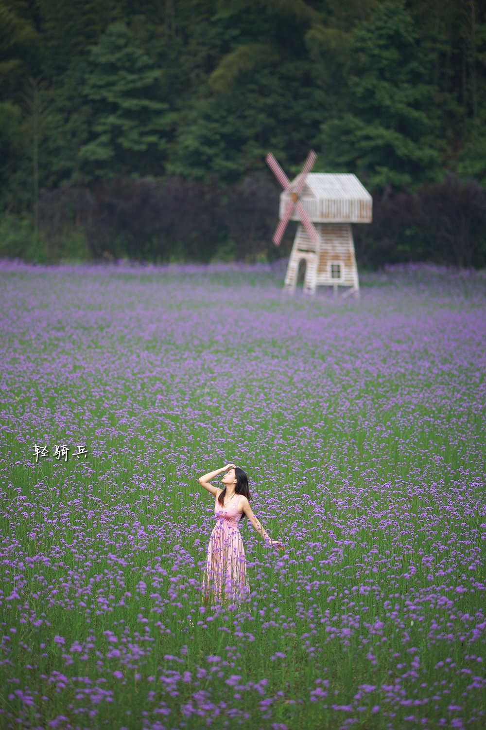 梅岭七色花海薰衣草人像轻骑兵摄影