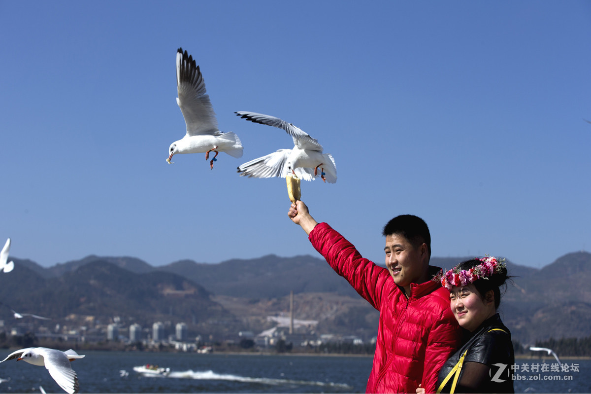 一组＜人与鸥　自然和谐＞贺晚之秋好友荣任佳能5Ds R版主！