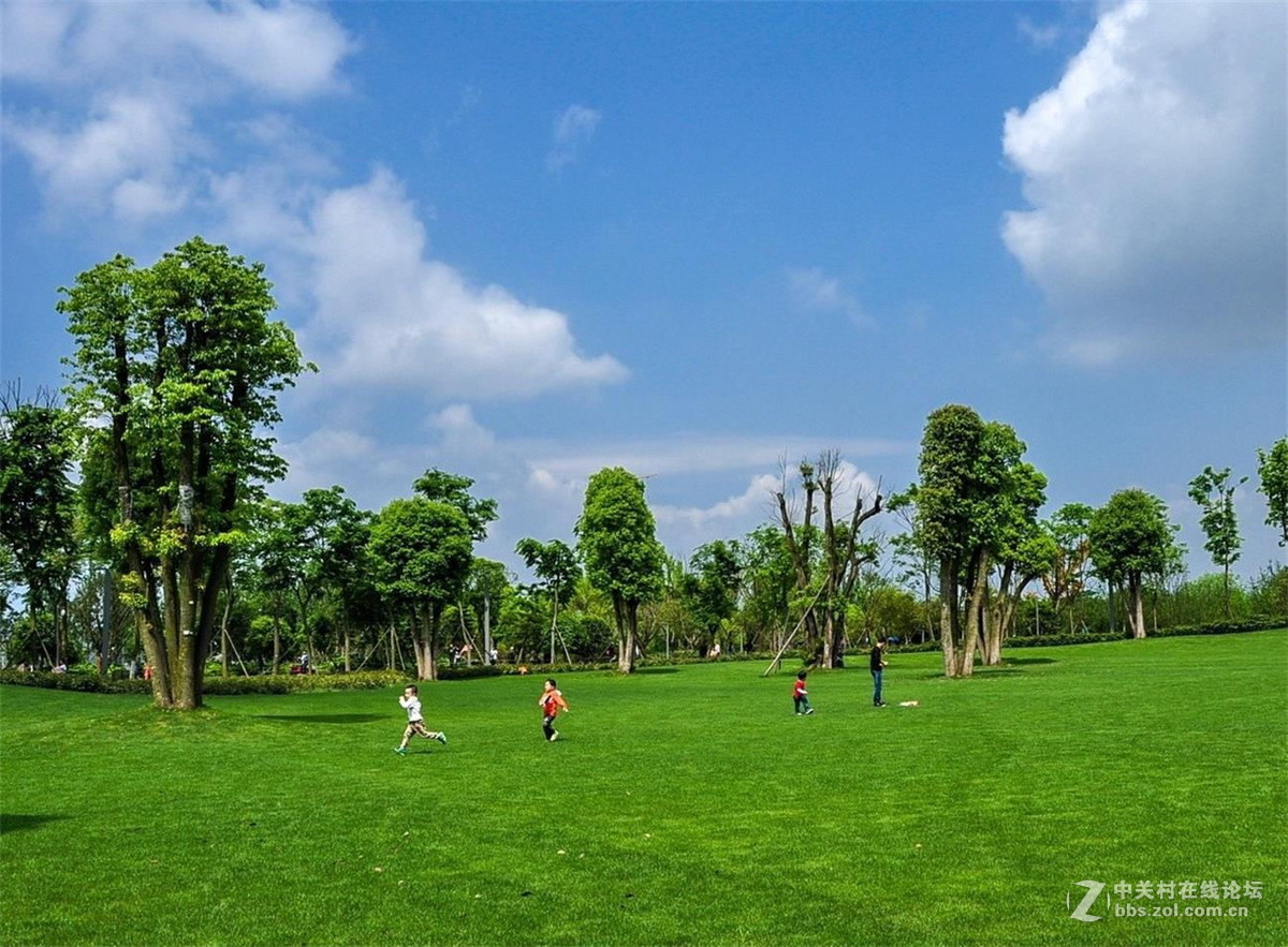 空气清馨绿草如茵的山城中央公园